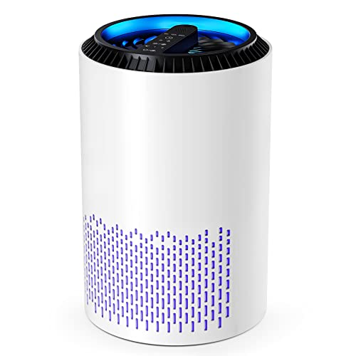 CONOPU Purificatore D'aria, Air Purifier Portable, Purificatore Aria Portatile Elimina Odori, Air Purifier Timer, per Camera Da Letto, Bagno, Soggiorno, Seminterrato