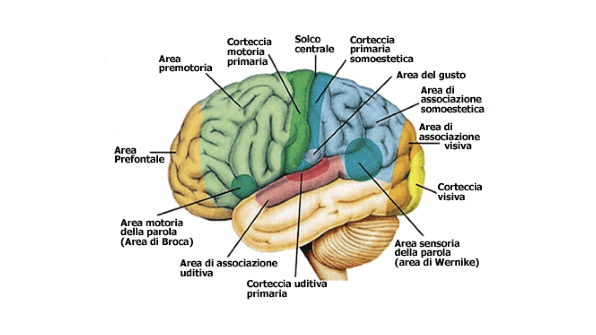 apprendimento significativo